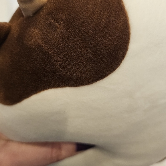 6" Cow Connor Squishmallow - Picture 7 of 9